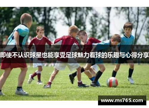 即使不认识球星也能享受足球魅力看球的乐趣与心得分享